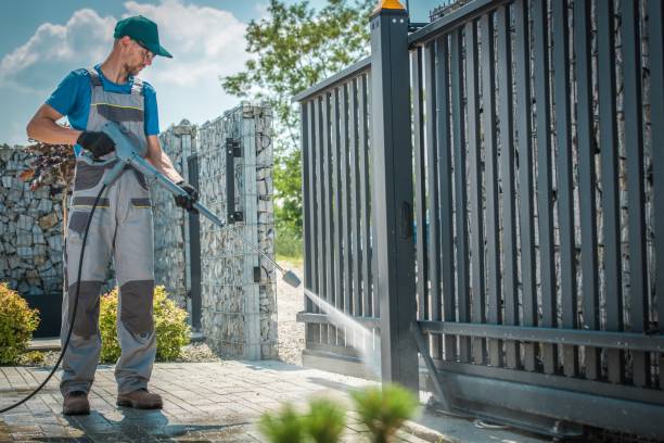 Best Gutter Cleaning  in Norfolk, VA