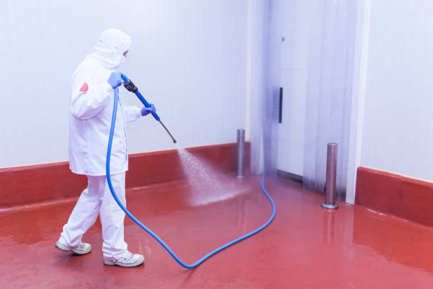 Best Pool Deck Cleaning  in Norfolk, VA
