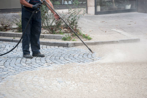 Best Animal Enclosure Cleaning  in Norfolk, VA