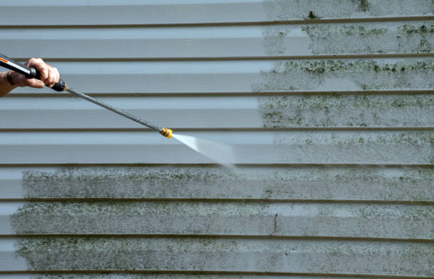 Animal Enclosure Cleaning in Norfolk, VA