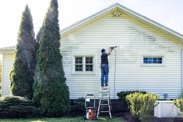 Best Spring Cleaning  in Norfolk, VA